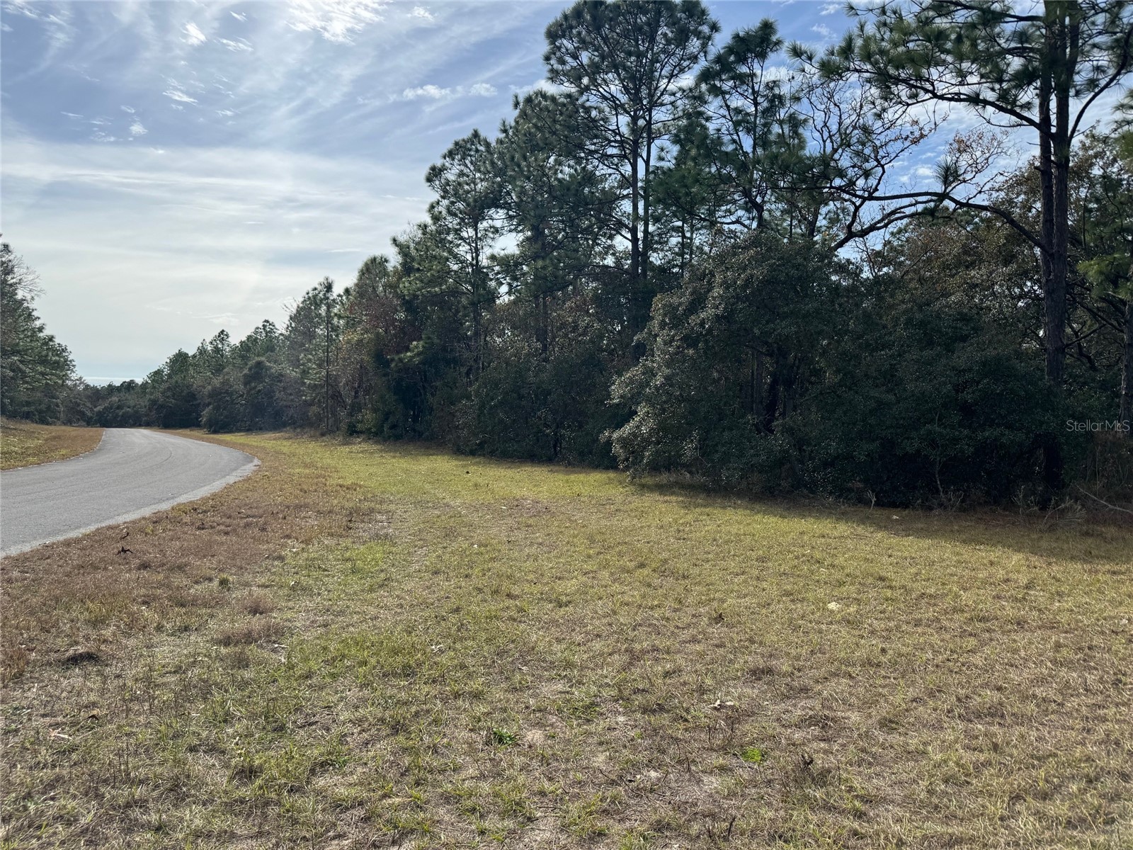 Lot 9 SW 61st Avenue Road Ocala FL 34473 OM693369 image7