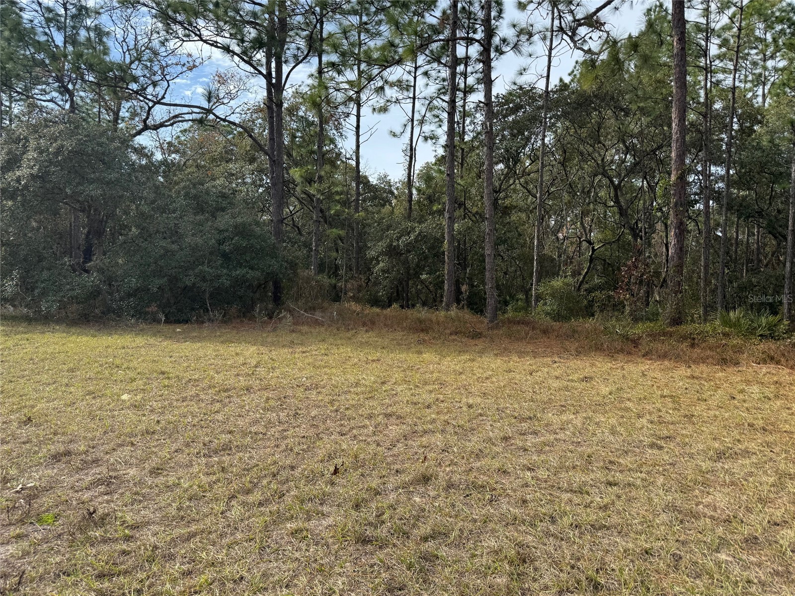 Lot 9 SW 61st Avenue Road Ocala FL 34473 OM693369 image8