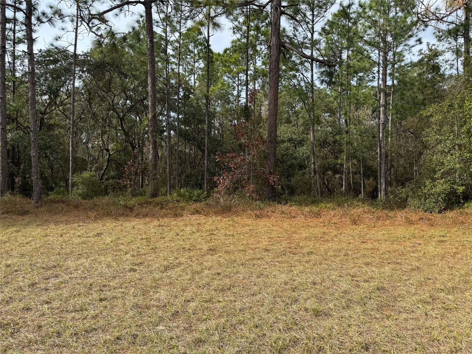 Lot 9 SW 61st Avenue Road Ocala FL 34473 OM693369 image9