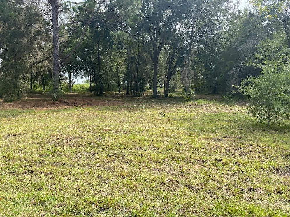 Lot 9 SW Ivy Place Dunnellon FL 34431 OM706213 image1