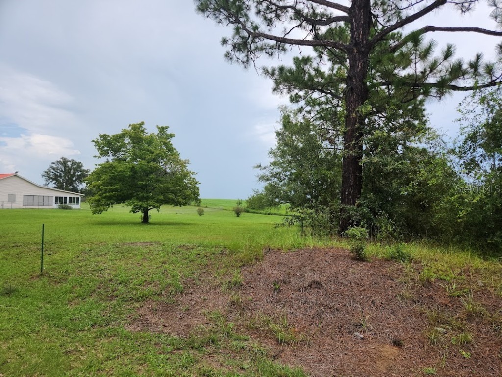 Lot 9 SW Ivy Place Dunnellon FL 34431 OM706213 image12