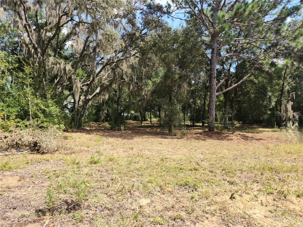 Lot 9 SW Ivy Place Dunnellon FL 34431 OM706213 image13
