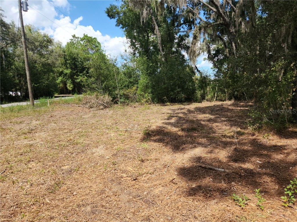 Lot 9 SW Ivy Place Dunnellon FL 34431 OM706213 image14