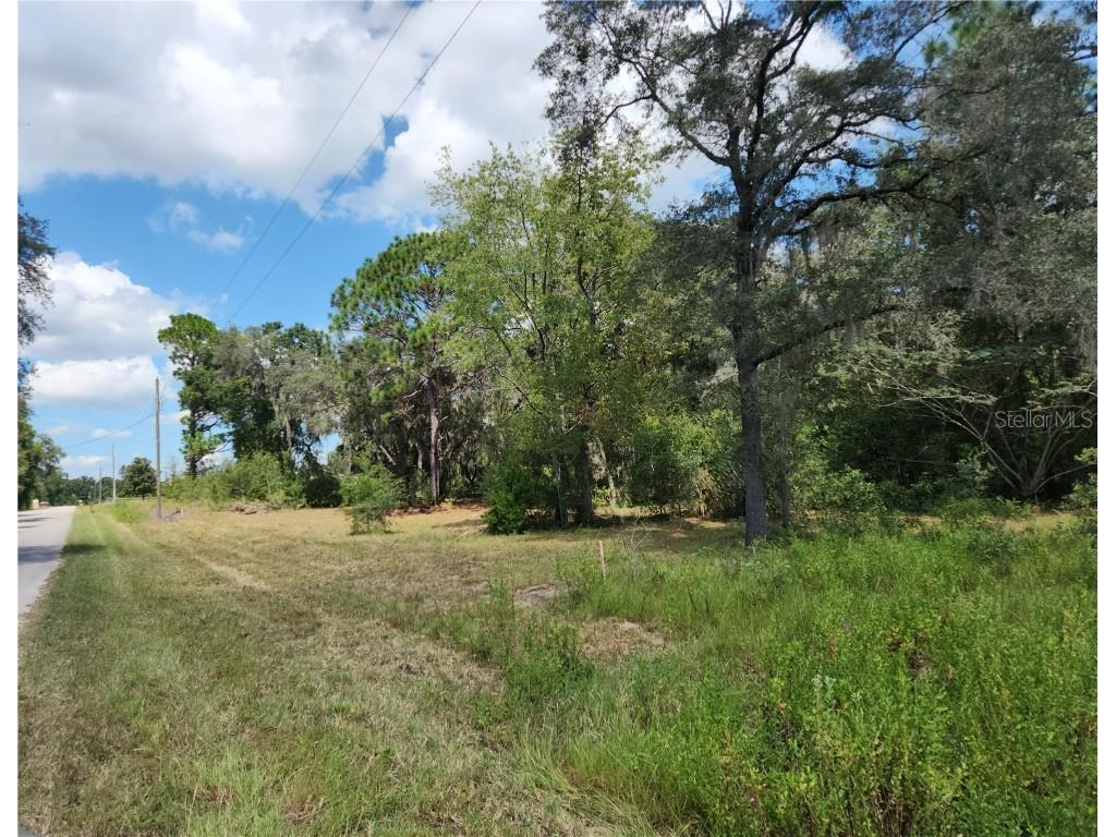 Lot 9 SW Ivy Place Dunnellon FL 34431 OM706213 image15