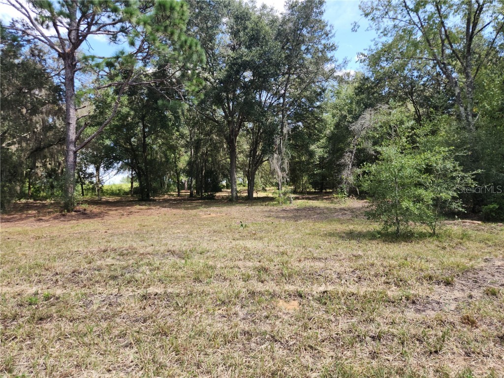 Lot 9 SW Ivy Place Dunnellon FL 34431 OM706213 image16