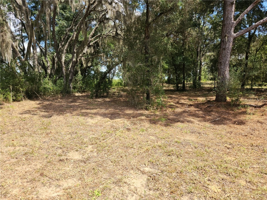 Lot 9 SW Ivy Place Dunnellon FL 34431 OM706213 image17