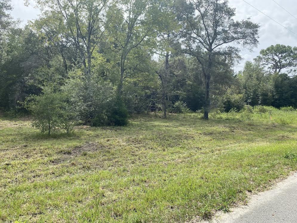 Lot 9 SW Ivy Place Dunnellon FL 34431 OM706213 image2