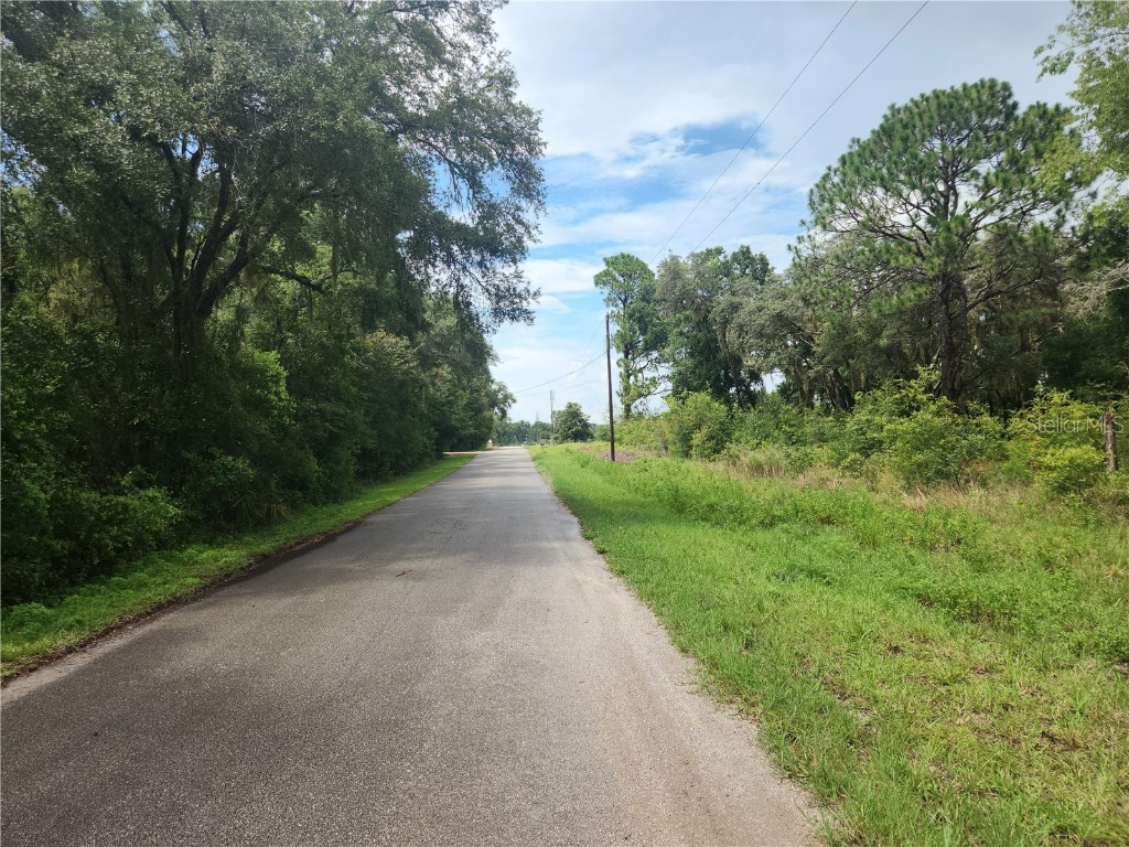 Lot 9 SW Ivy Place Dunnellon FL 34431 OM706213 image3