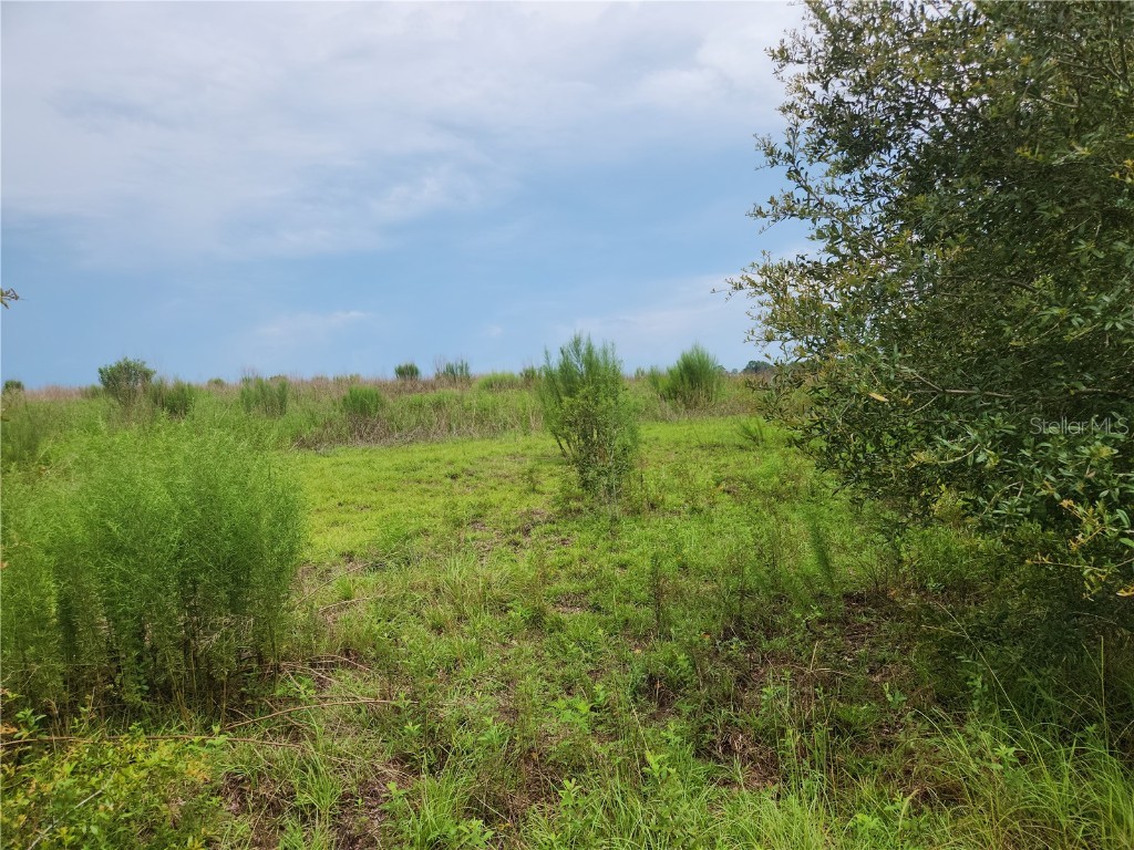 Lot 9 SW Ivy Place Dunnellon FL 34431 OM706213 image5