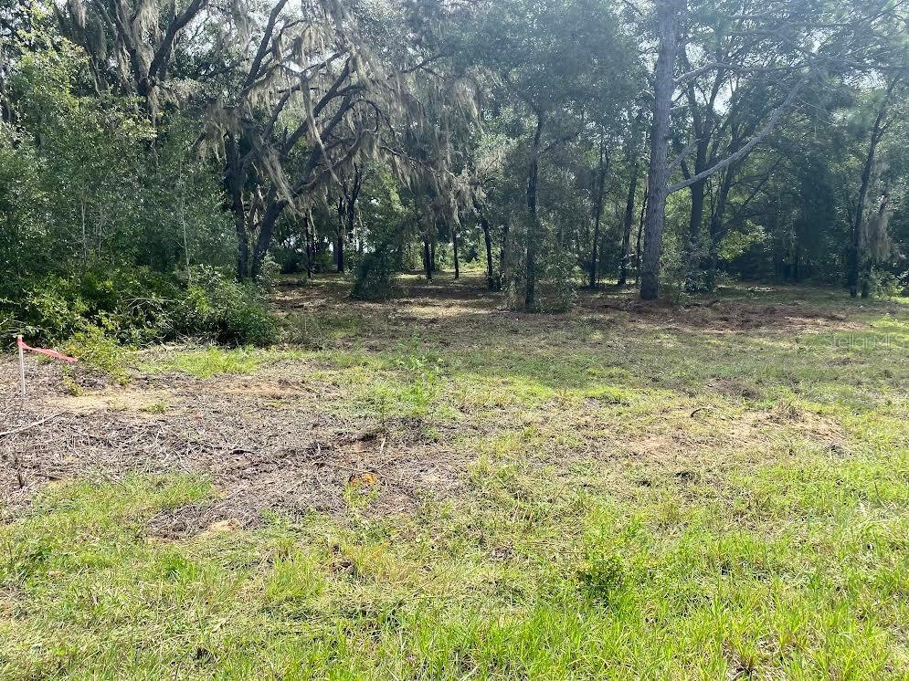Lot 9 SW Ivy Place Dunnellon FL 34431 OM706213 image7