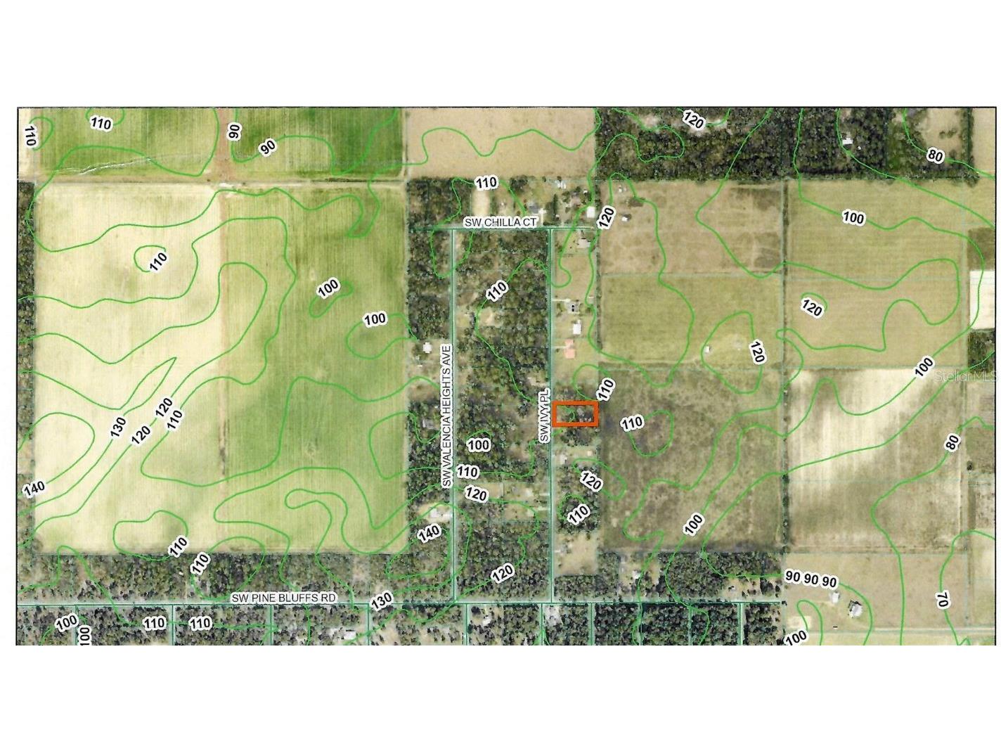 Lot 9 SW Ivy Place Dunnellon FL 34431 OM706213 image9