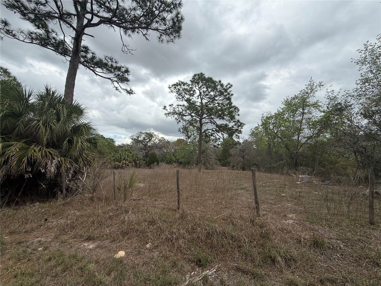 Lot 94 Galvenston Street Spring Hill FL 34610 TB8487454 image1