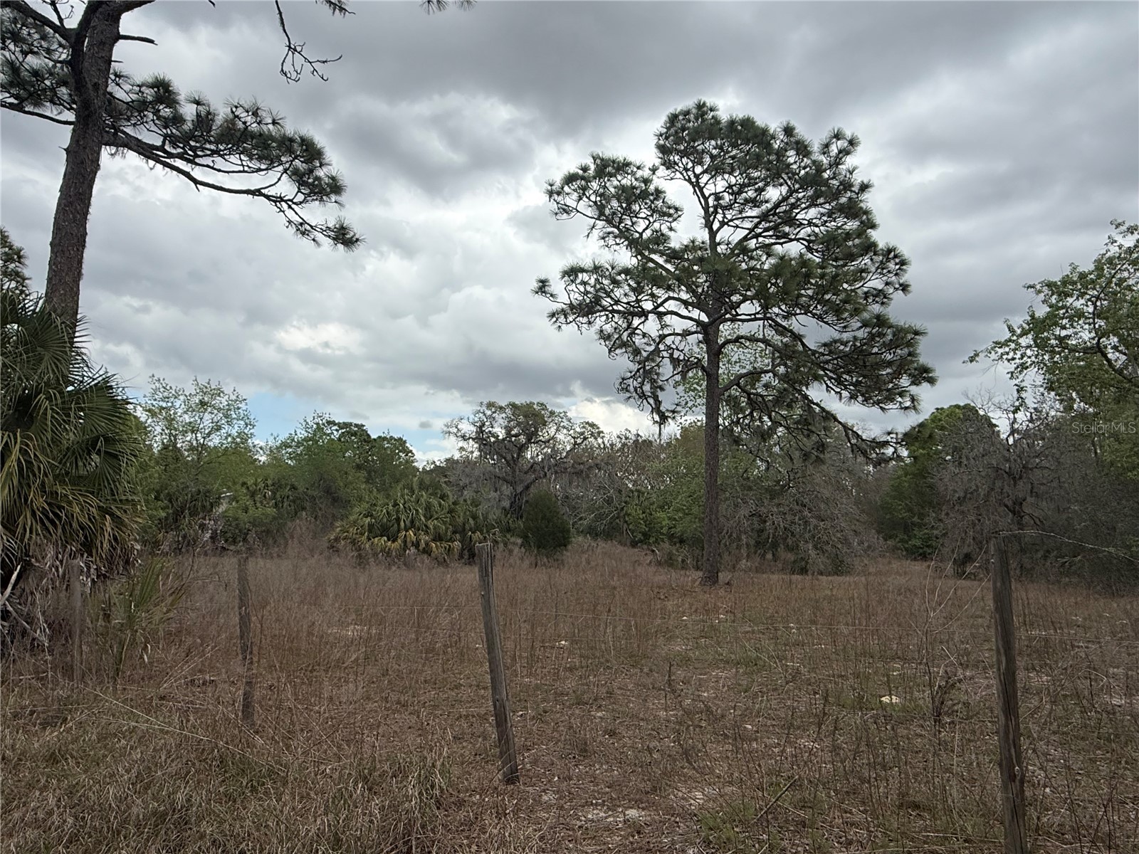 Lot 94 Galvenston Street Spring Hill FL 34610 TB8487454 image2