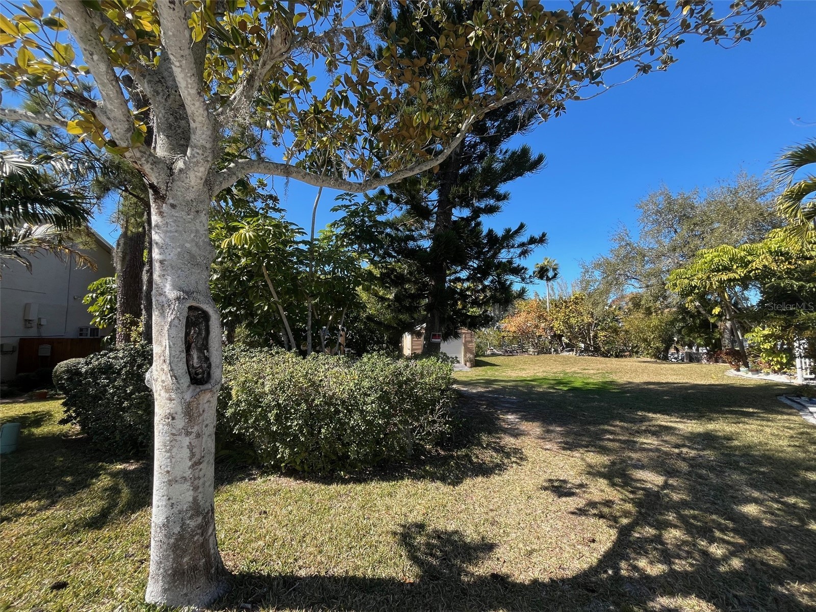 Lot 96 Blue Jay Circle Palm Harbor FL 34683 TB8475827 image11