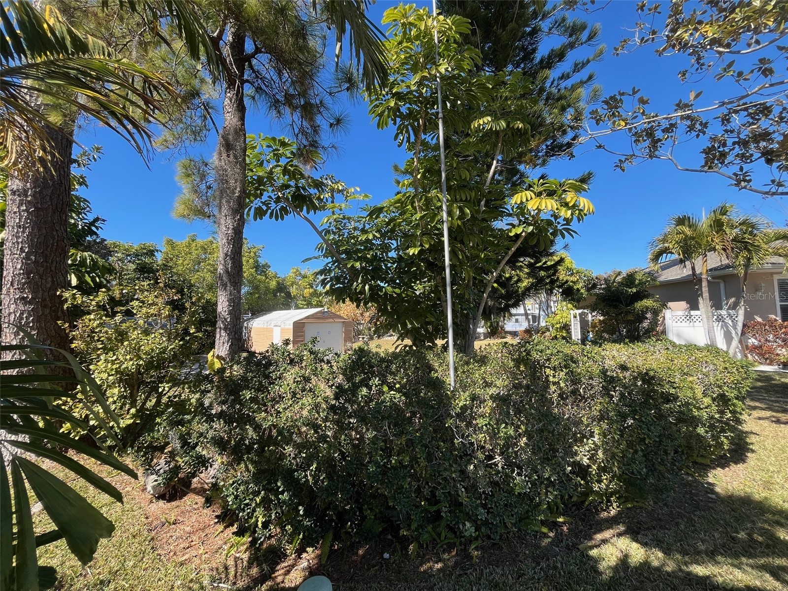 Lot 96 Blue Jay Circle Palm Harbor FL 34683 TB8475827 image13