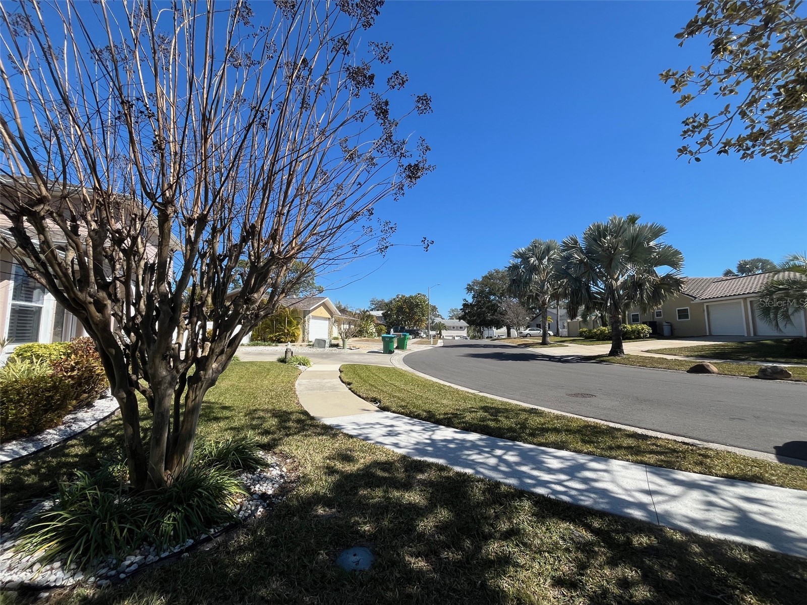 Lot 96 Blue Jay Circle Palm Harbor FL 34683 TB8475827 image22