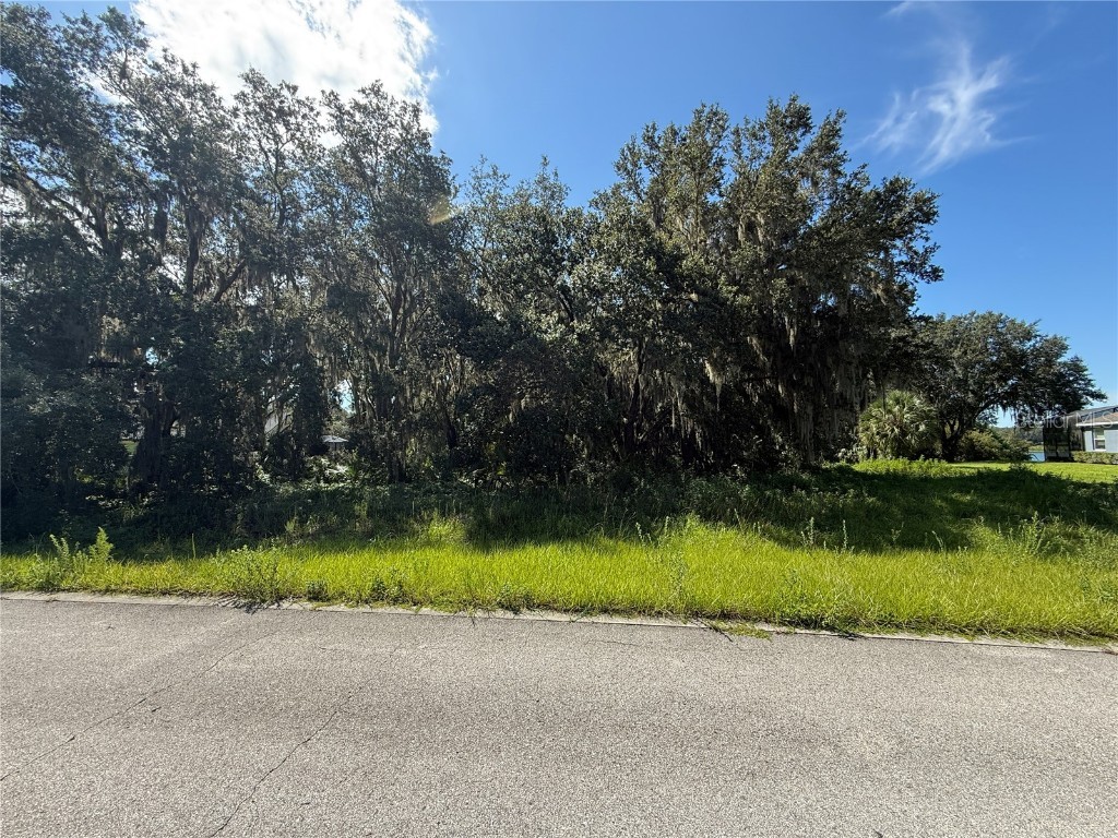 Lot 98 Bear Den Drive Eustis FL 32736 - LAKE BLACK BEAR G5100659 image1