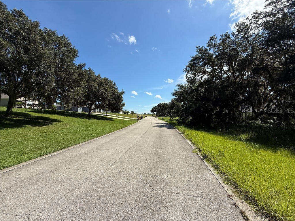Lot 98 Bear Den Drive Eustis FL 32736 - LAKE BLACK BEAR G5100659 image4