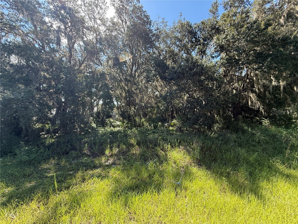 Lot 98 Bear Den Drive Eustis FL 32736 - LAKE BLACK BEAR G5100659 image5