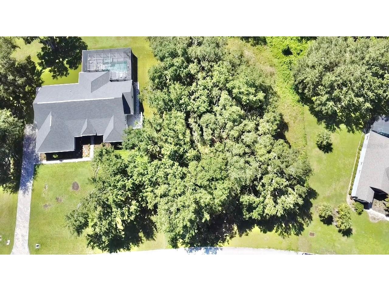 Lot 98 Bear Den Drive Eustis FL 32736 - LAKE BLACK BEAR G5100659 image6