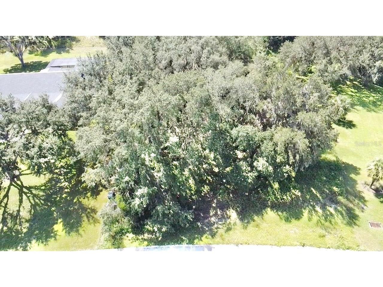 Lot 98 Bear Den Drive Eustis FL 32736 - LAKE BLACK BEAR G5100659 image7