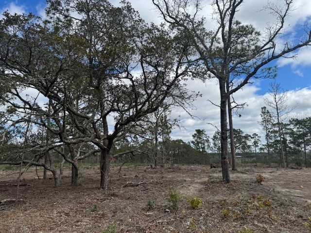 SE State Road 121 Lot C Morriston - Lot C SE STATE ROAD 121 Morriston FL 32668 OM695504 Image7 