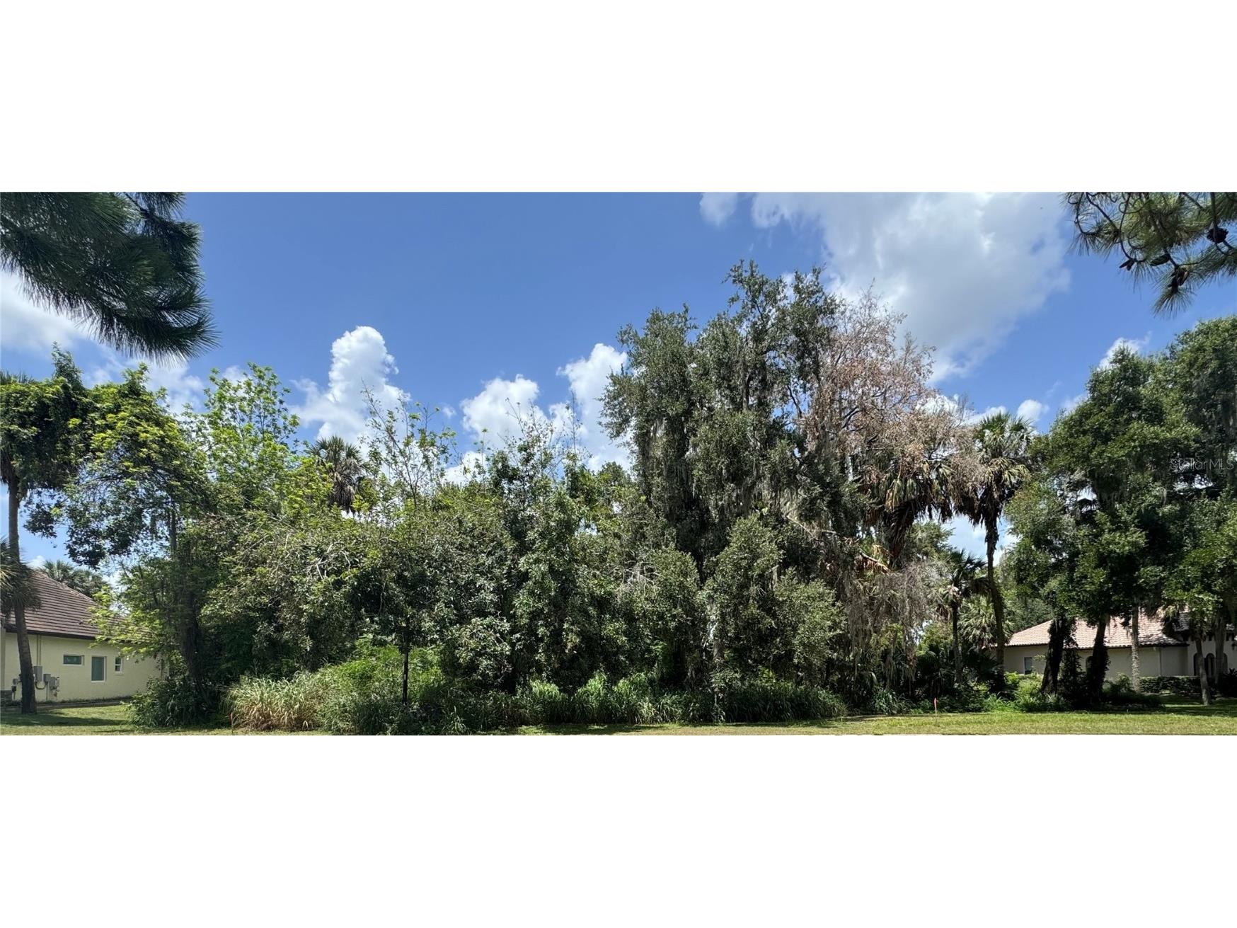 Lot K-14 Blue Heron Circle Circle Deer Island FL 32778 - LAKE DORA TB8410714 image1