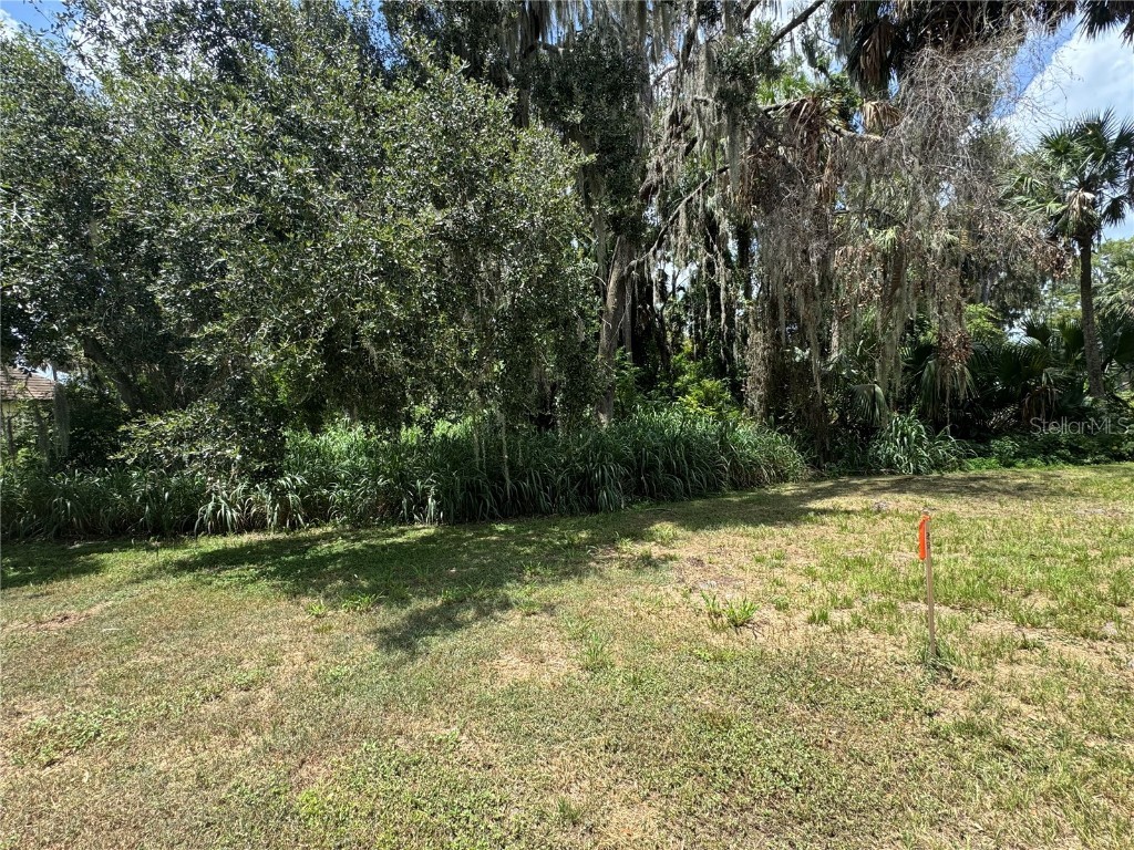 Lot K-14 Blue Heron Circle Circle Deer Island FL 32778 - LAKE DORA TB8410714 image2