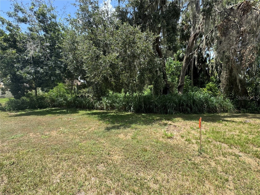 Lot K-14 Blue Heron Circle Circle Deer Island FL 32778 - LAKE DORA TB8410714 image3