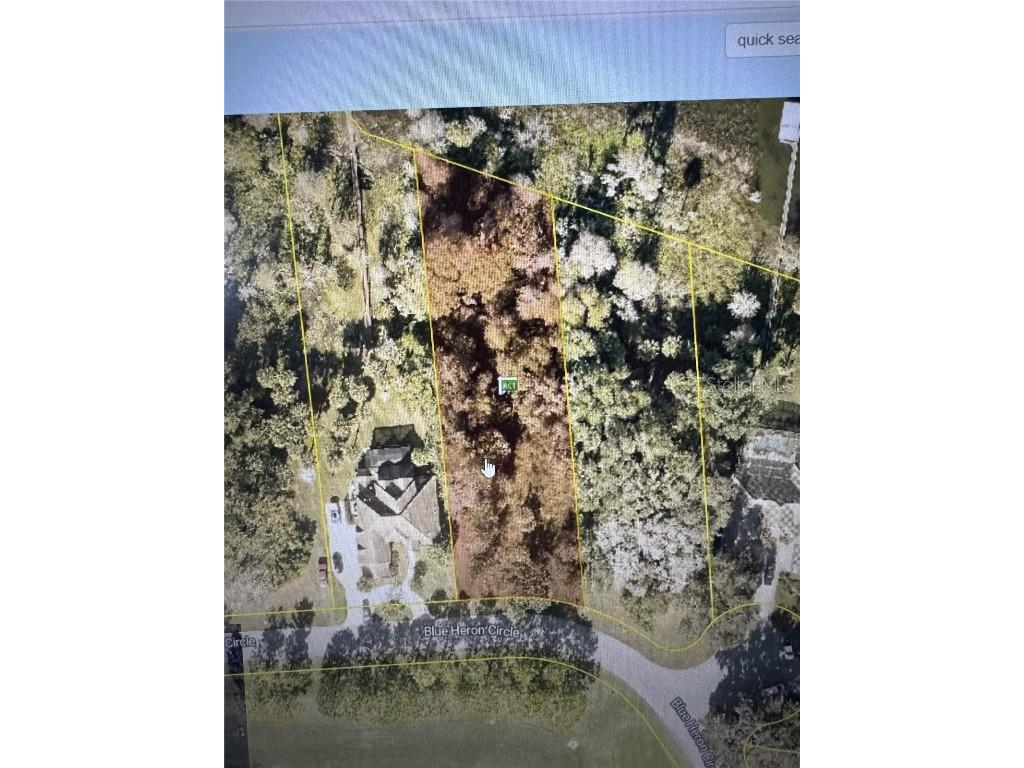 Lot K-14 Blue Heron Circle Circle Deer Island FL 32778 - LAKE DORA TB8410714 image4