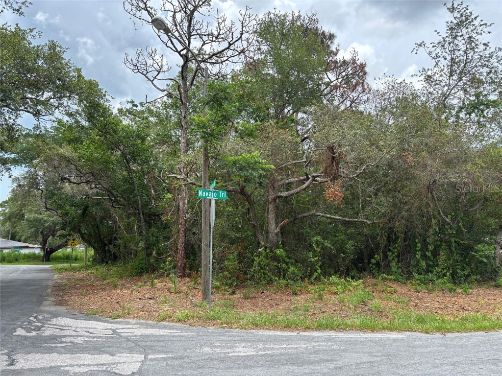 Lot W290 Navajo Trail Spring Hill FL 34606 W7877857 image2