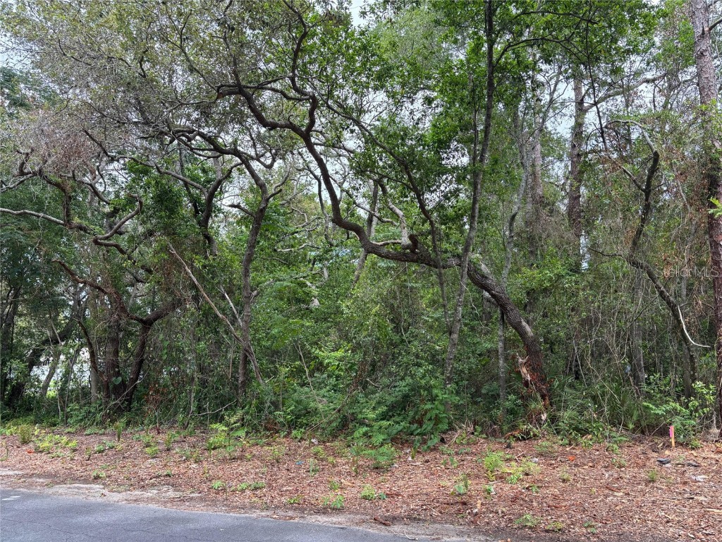 Lot W290 Navajo Trail Spring Hill FL 34606 W7877857 image4