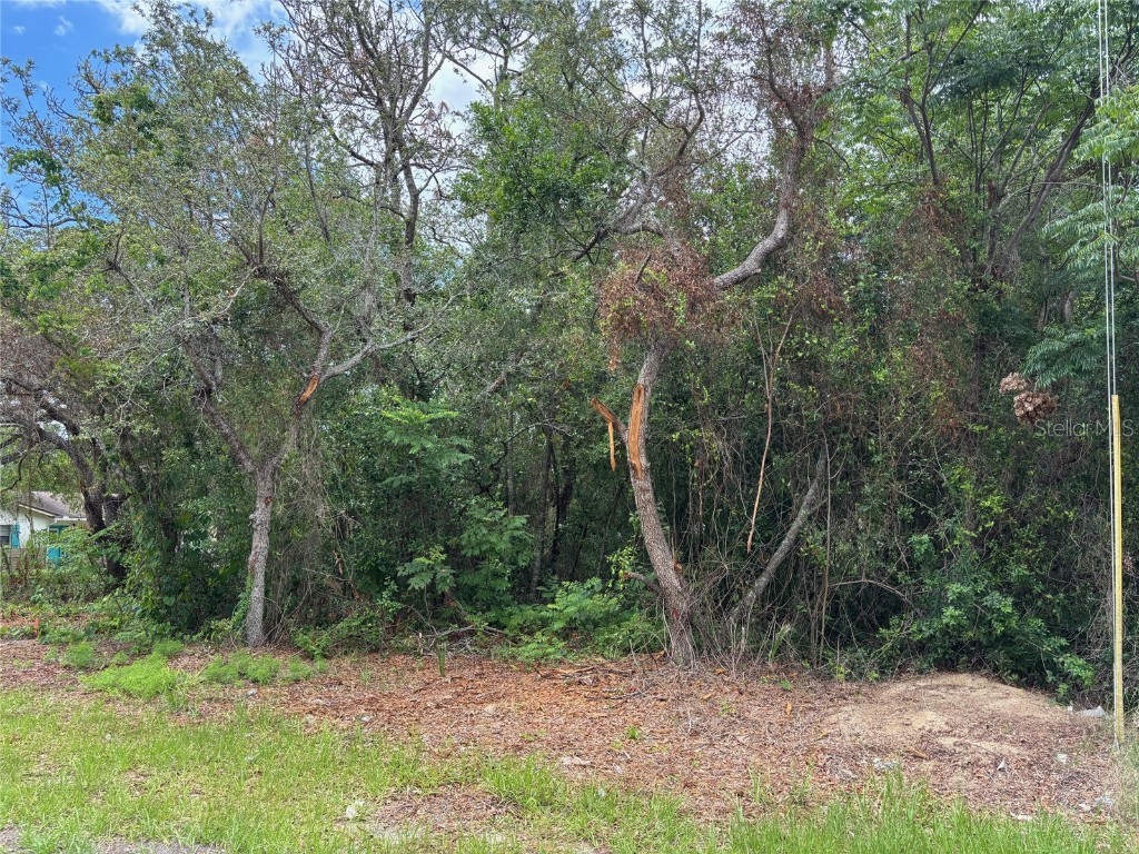 Lot W290 Navajo Trail Spring Hill FL 34606 W7877857 image7