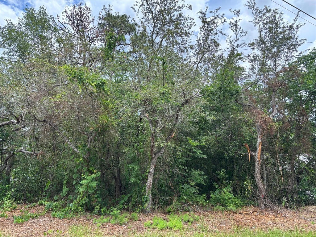 Lot W290 Navajo Trail Spring Hill FL 34606 W7877857 image8