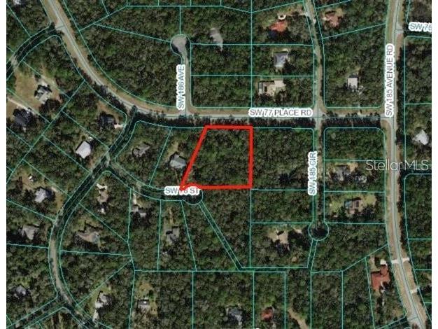 Lot25 SW 78th Street Dunnellon FL 34432 OM699743 image1