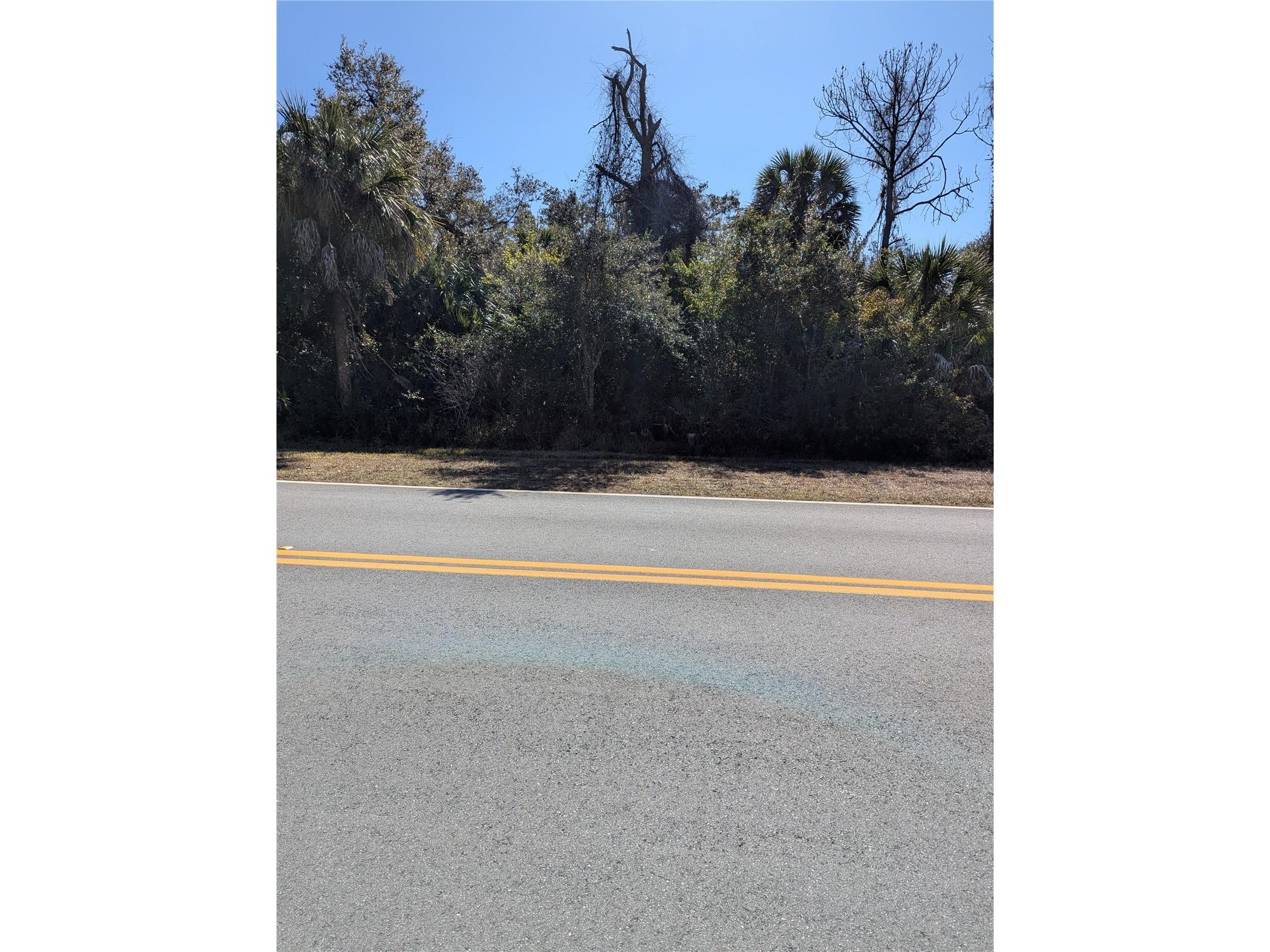 Lots 12&3 De Leon Drive North Port FL 34287 - SALT CREEK A4680279 image1