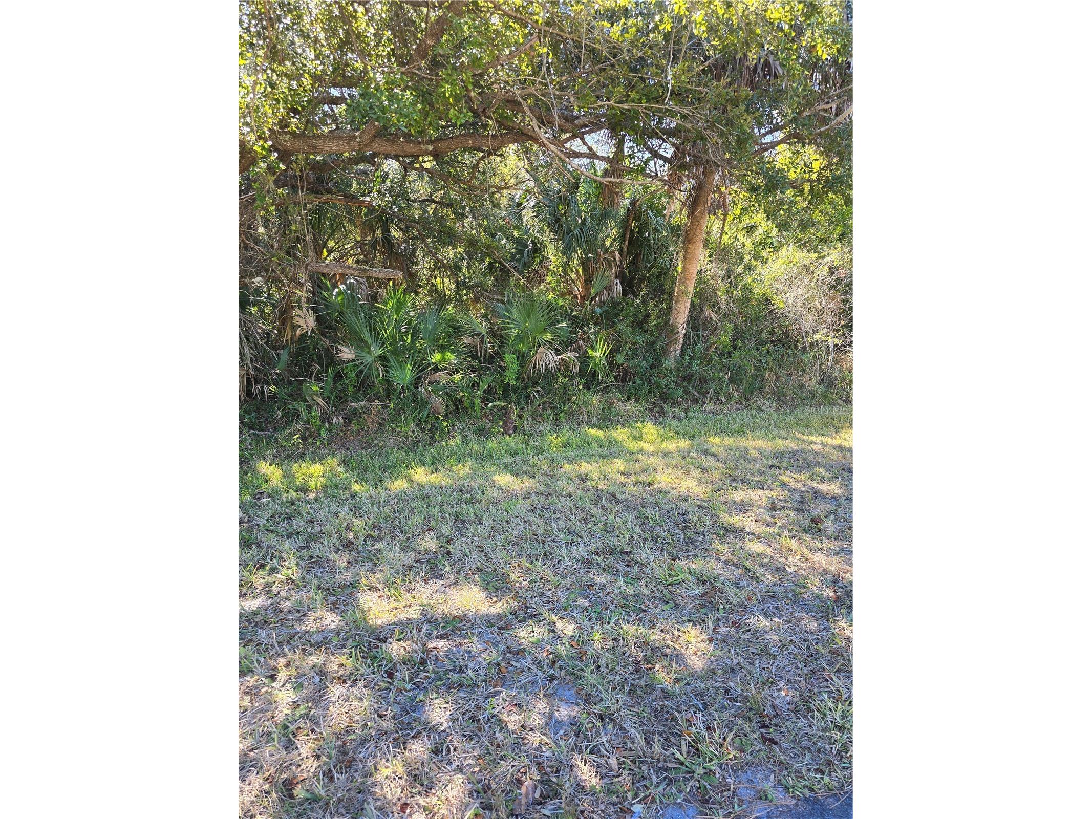 Lots 12&3 De Leon Drive North Port FL 34287 - SALT CREEK A4680279 image10