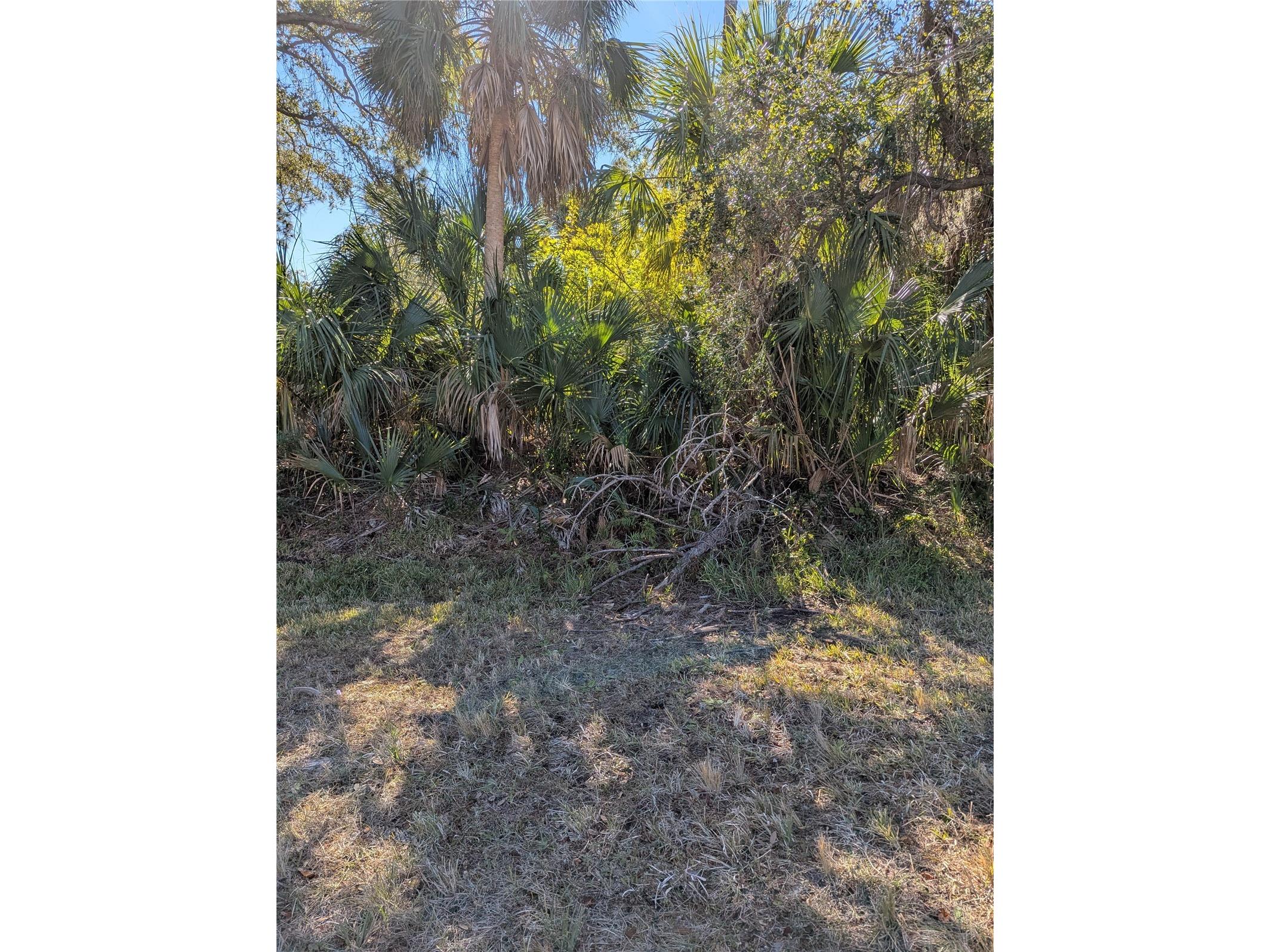 Lots 12&3 De Leon Drive North Port FL 34287 - SALT CREEK A4680279 image11