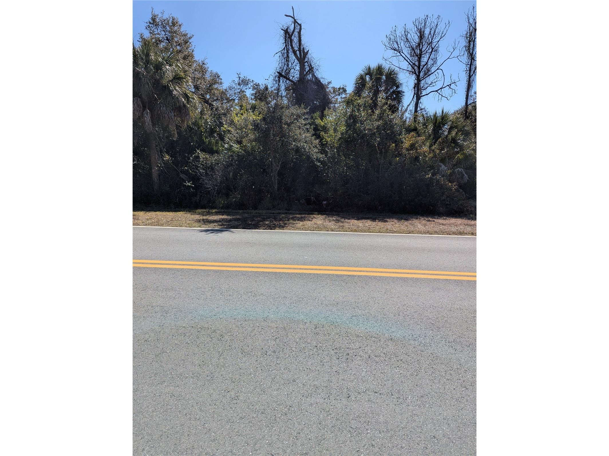 Lots 12&3 De Leon Drive North Port FL 34287 - SALT CREEK A4680279 image2