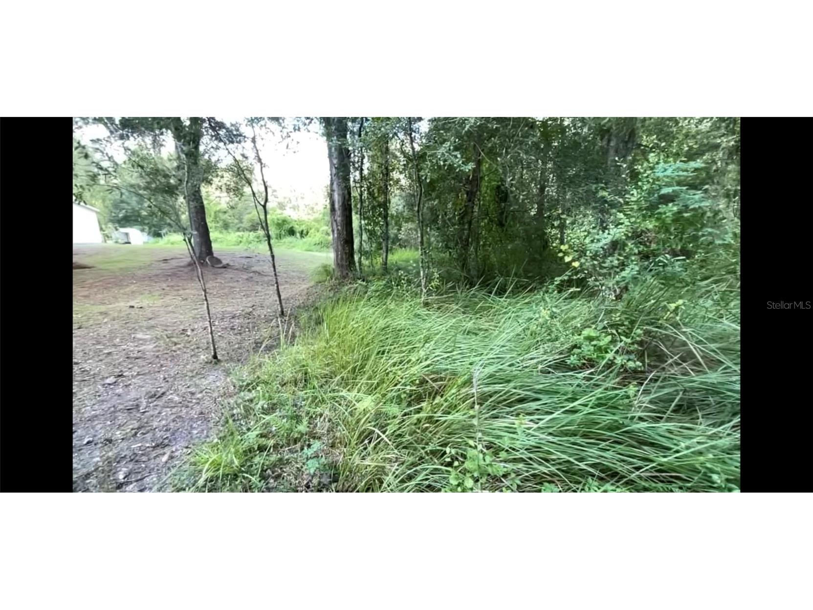 Lots 1-4 Orland Street New Port Richey FL 34654 T3473203 image1