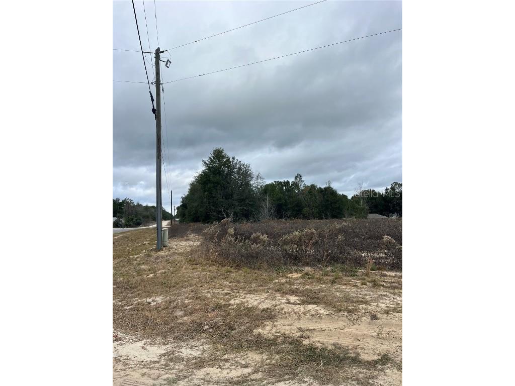 Lots 11 12 & 13 SW 149th Ct. Road Ocala FL 34481 OM693984 image11