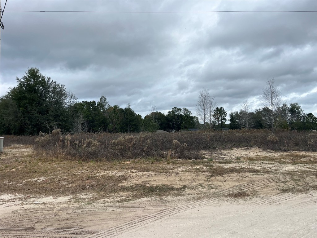 Lots 11 12 & 13 SW 149th Ct. Road Ocala FL 34481 OM693984 image9