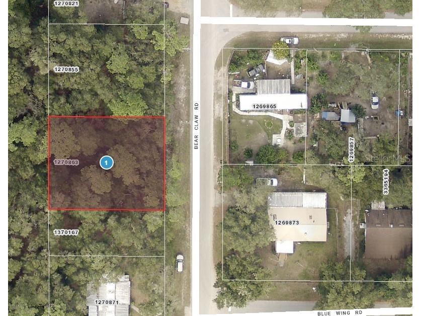 Lots 11 & 12 Bear Claw Road Altoona FL 32702 TB8303314 image1