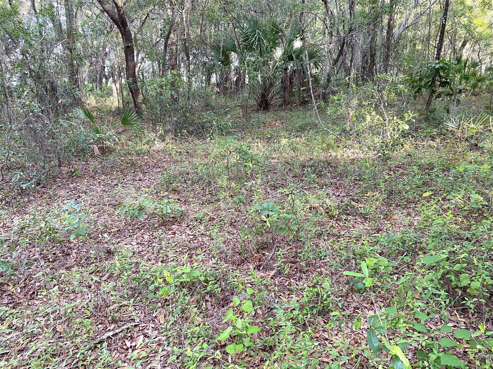Lots 11.12 SW Shorewood Drive Dunnellon FL 34431 - LAKE BONABLE OM726317 image11