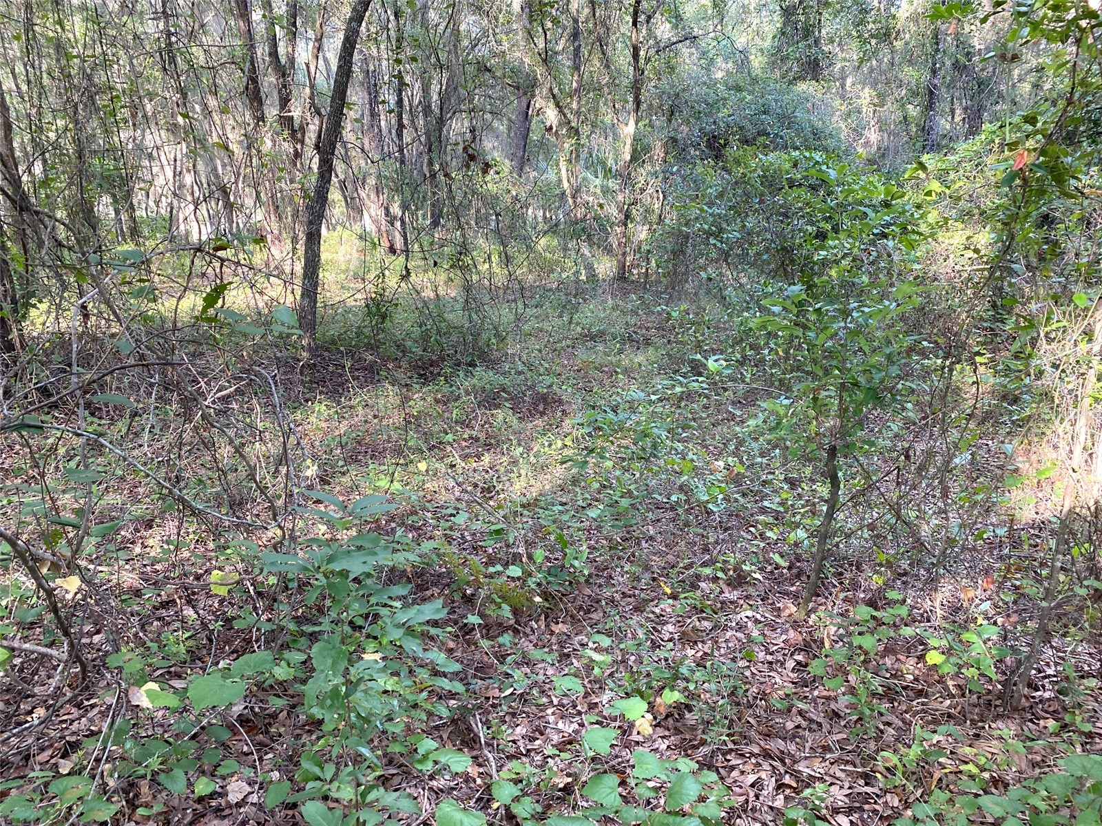 Lots 11.12 SW Shorewood Drive Dunnellon FL 34431 - LAKE BONABLE OM726317 image12