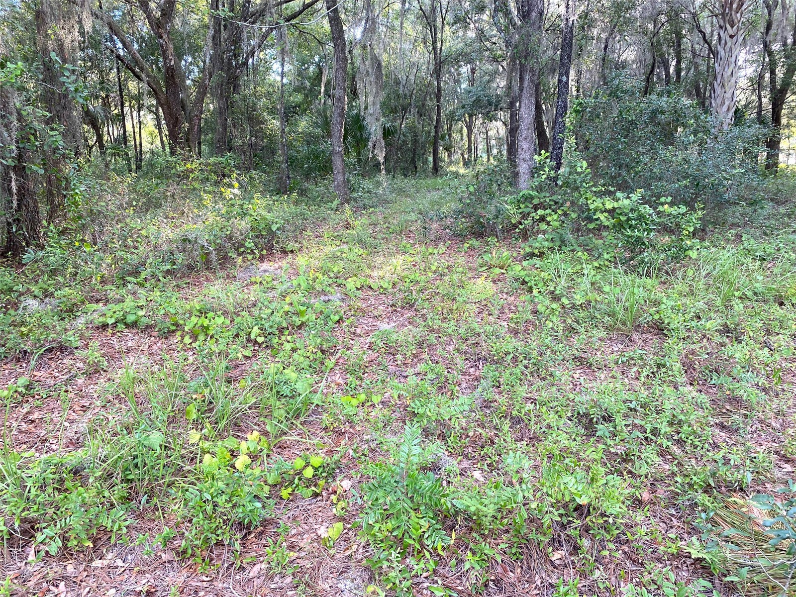 Lots 11.12 SW Shorewood Drive Dunnellon FL 34431 - LAKE BONABLE OM726317 image9