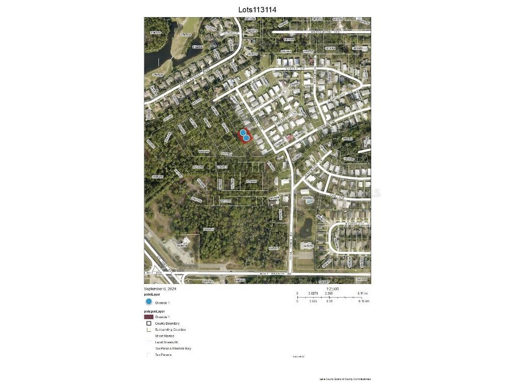 Lots 113 & 114 Karen Drive Mount Dora FL 32757 G5086775 image1