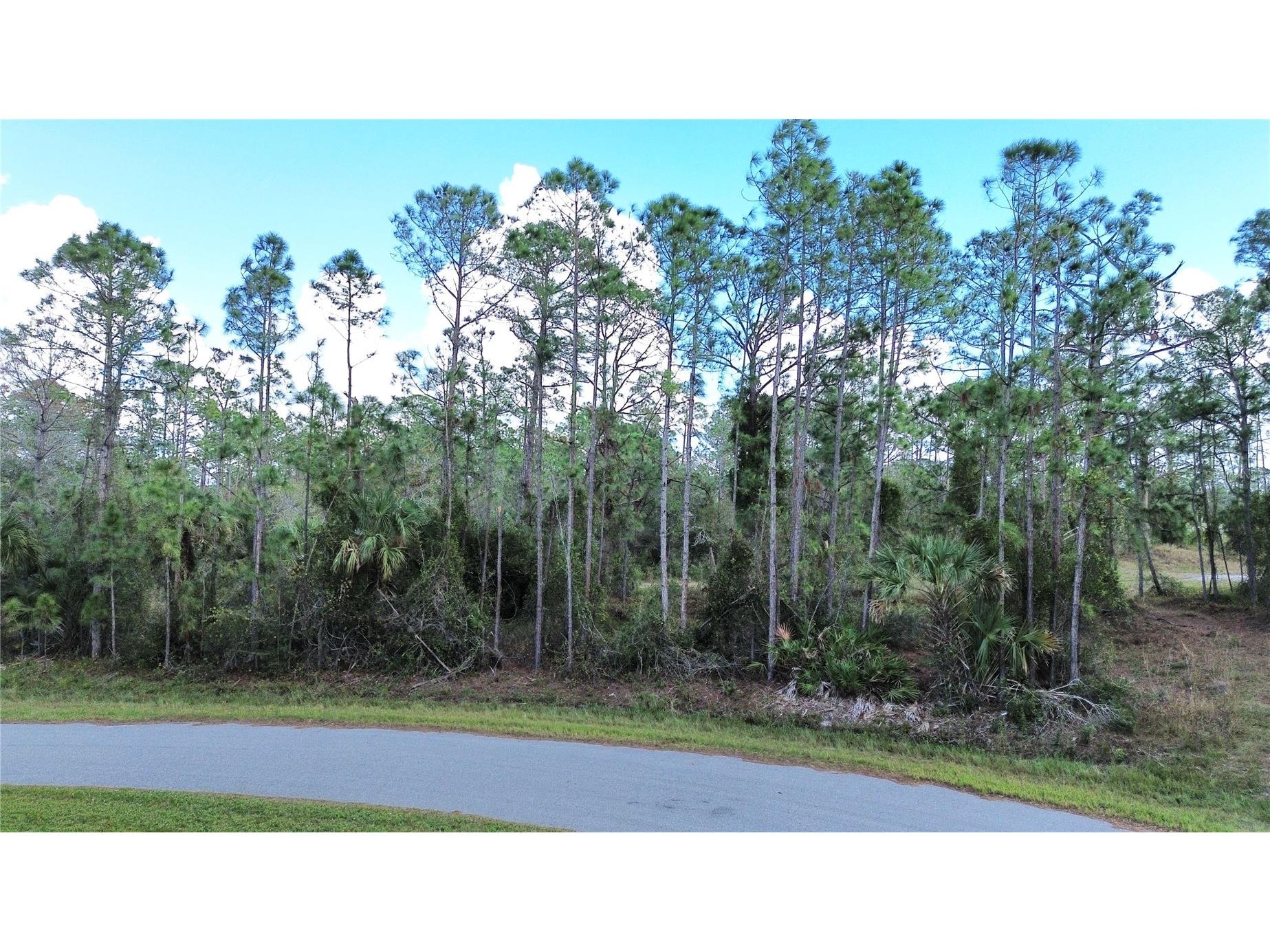 Lots 14 and 15 Latour Avenue North Port FL 34291 C7521726 image2