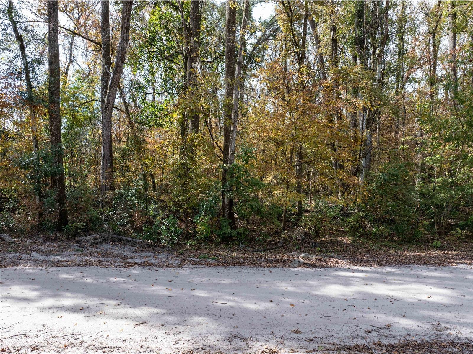 Lots 165 & 166 SW Nebraska Terrace Fort White FL 32038 GC536032 image1