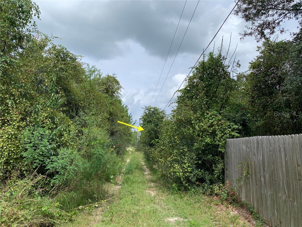 Lots 17 18 19 Magnolia Street Paisley FL 32767 G5074154 image1